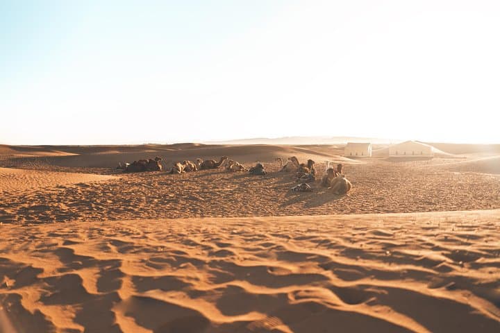 Private 2-Day Sahara Desert Tour from Marrakech to Zagora photo 5