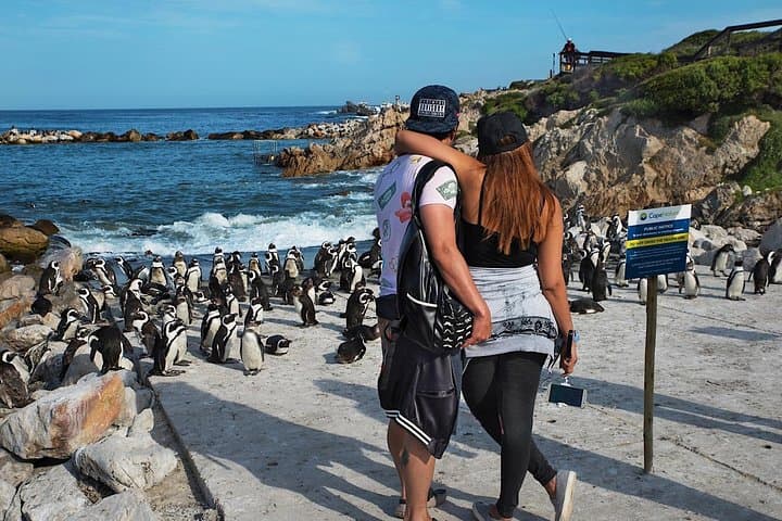 Cape Agulhas Day Tour: Stand Between Two Oceans, Wine Tasting & Penguins photo 3
