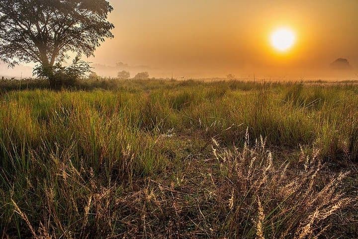 Sundarbans Mangrove Voyage: 3-Day Jungle Book Boat Trip from Khulna photo 2