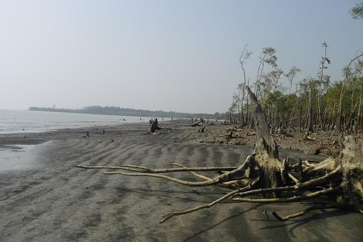 Sundarbans Mangrove Voyage: 3-Day Jungle Book Boat Trip from Khulna photo 3