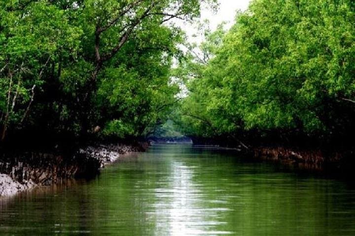 Sundarbans Mangrove Voyage: 3-Day Jungle Book Boat Trip from Khulna photo 4