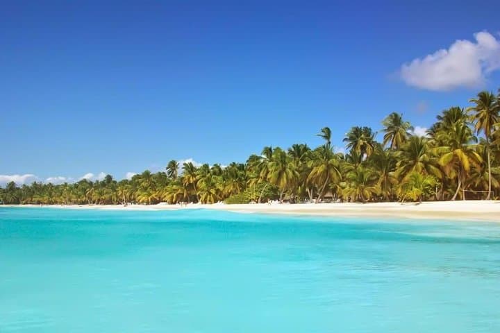 Punta Cana Discovery: Saona Island & Buggy Adventure Package photo 3