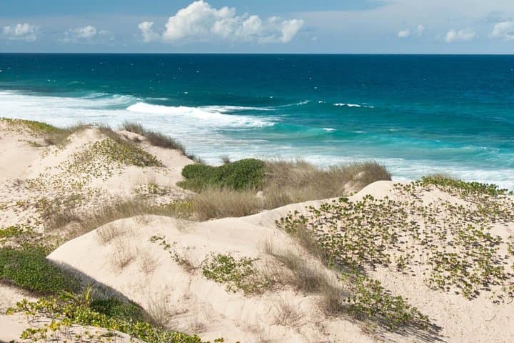 Calanga Beach Day Trip: Dunes, 4x4 Action & Village Lunch from Maputo photo 3