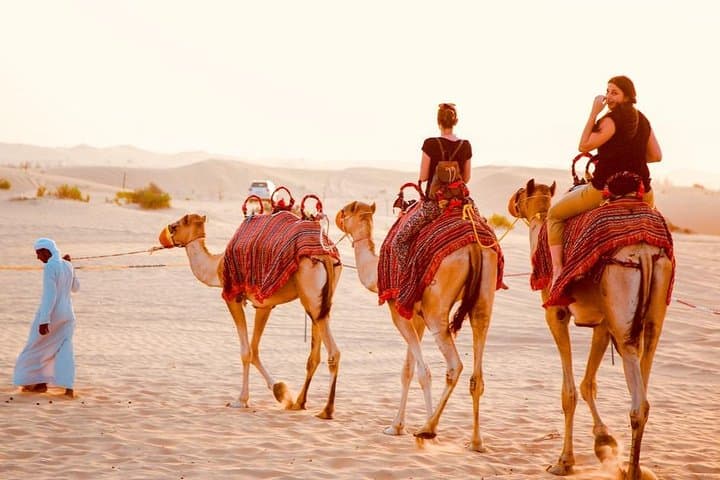 Dubai Red Desert Dune Buggy, Camel Ride & Sandboarding Adventure photo 4