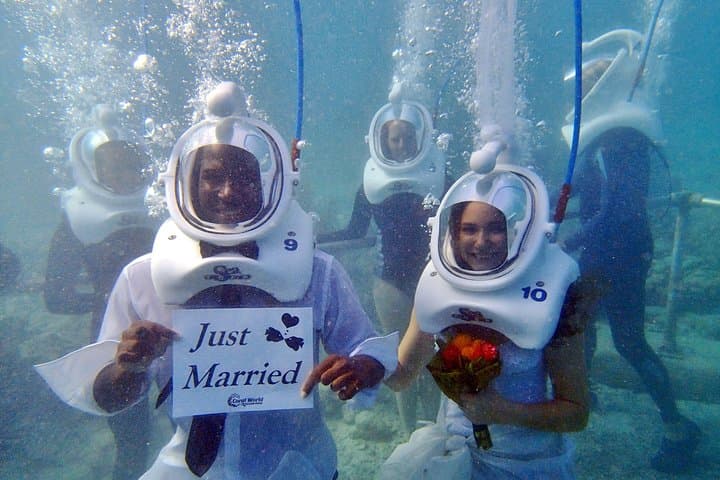 Sea Trek Helmet Dive at Coral World: Walk Underwater with Fish at Coki Point photo 6
