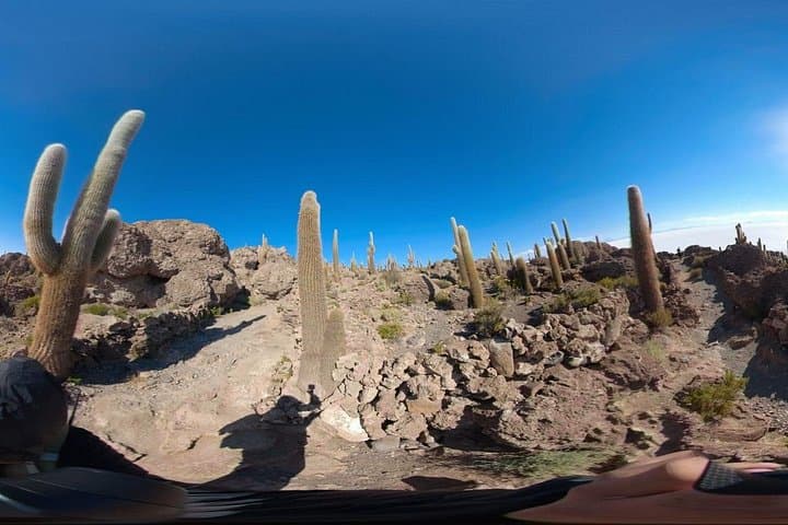 Crossing Uyuni: Salt Flats, Colored Lagoons & Tupiza — 4-Day Private Tour photo 4