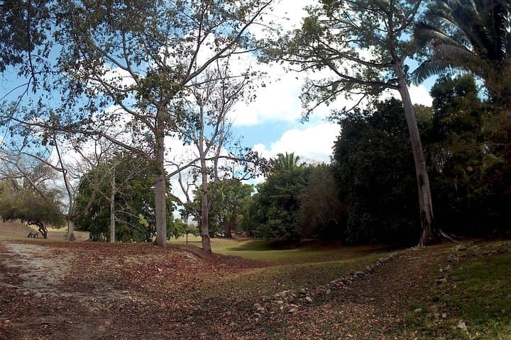 Altun Ha, Howler Monkeys & Rum Factory Day Tour from Belize City photo 4