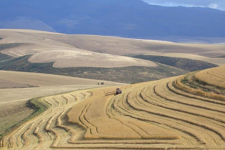 Luxury 5-Day Garden Route Tour — Big 7 Safari, Cango Caves & Route 62 photo 4