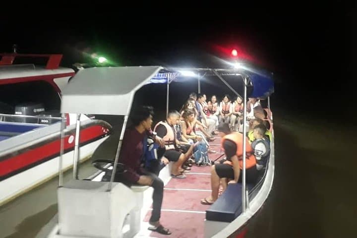 Kuala Selangor Firefly Boat Tour — Private Evening Trip from Kuala Lumpur photo 4