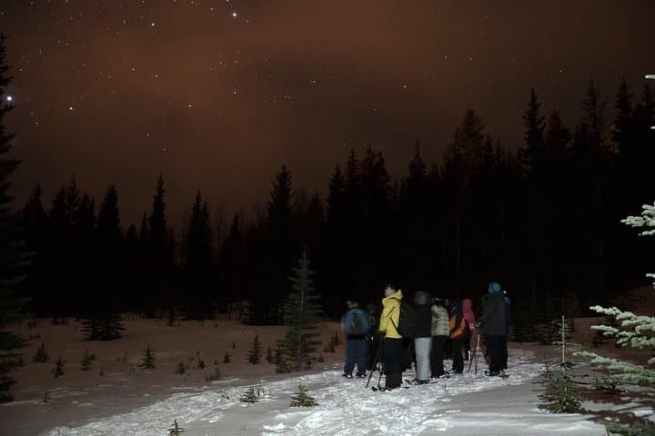 Full Moon Snowshoe Tour Near Canmore — Moonlit Meadow Snowshoeing photo 2