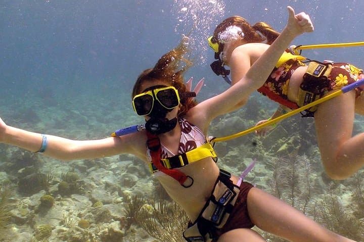 Snuba Adventure at Coral World Ocean Park — Guided Underwater Intro in St. Thomas photo 3