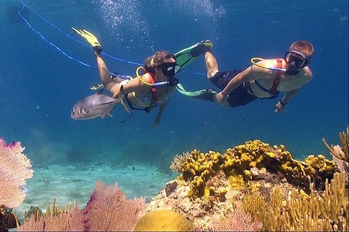 Snuba Adventure at Coral World Ocean Park — Guided Underwater Intro in St. Thomas photo 4