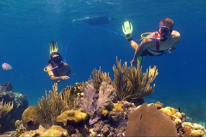 Snuba Adventure at Coral World Ocean Park — Guided Underwater Intro in St. Thomas
