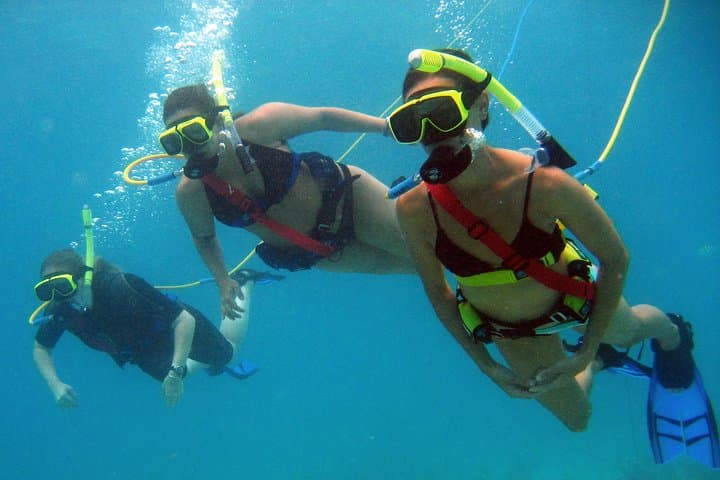 Snuba Adventure at Coral World Ocean Park — Guided Underwater Intro in St. Thomas photo 5