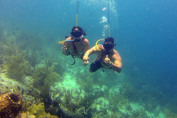 Snuba Adventure at Coral World Ocean Park — Guided Underwater Intro in St. Thomas photo 6