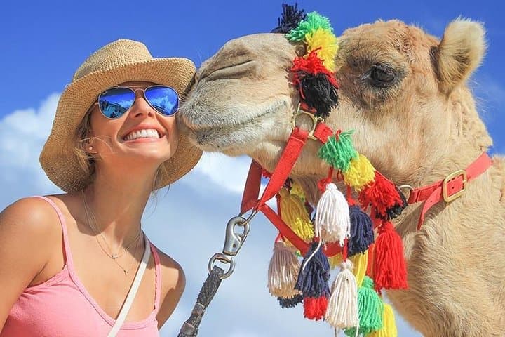 Camel Safari on Baja’s Coast: Desert-to-Sea Ride with Lunch and Tasting photo 3