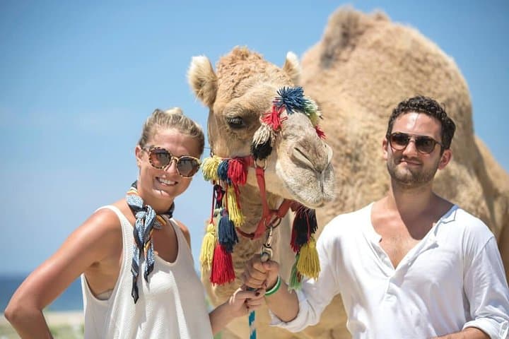 Camel Safari on Baja’s Coast: Desert-to-Sea Ride with Lunch and Tasting photo 1