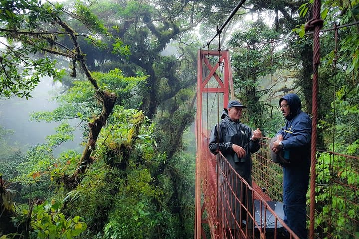 Monteverde Cloud Forest Nature History Walk: Private Guided Cloud-Forest Experience photo 6