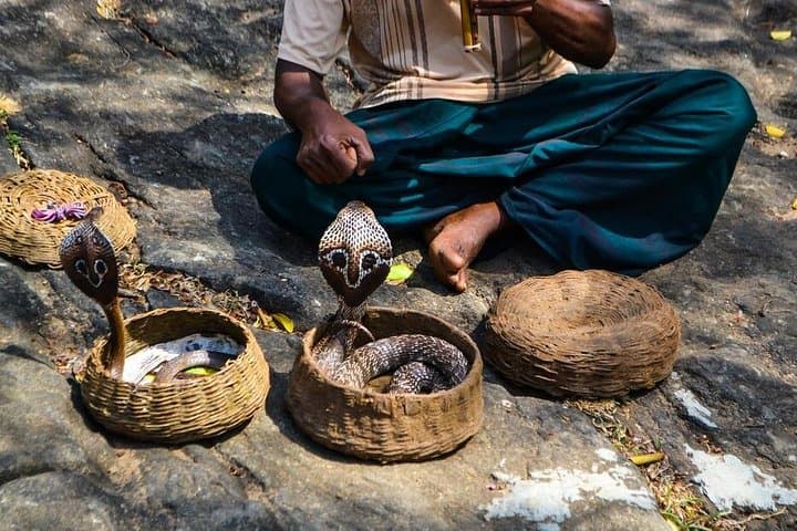 5-Night Sri Lanka Adventure: Rafting, Tea Country & Yala Safari photo 4