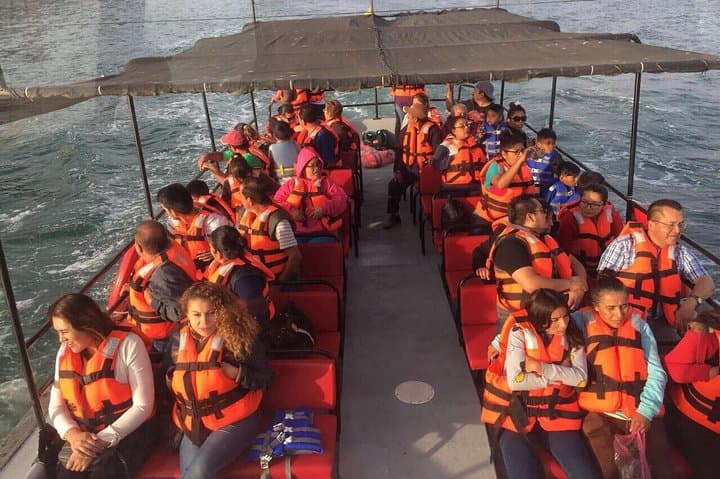 Exploring Ensenada’s Coastal Wonders: La Bufadora, Pai Pai Park & Four Fours Vineyard Tour photo 4