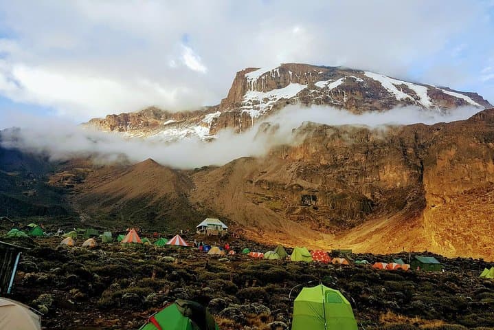 Kilimanjaro Lemosho Route: 12-Day Summit and Camping Safari photo 5