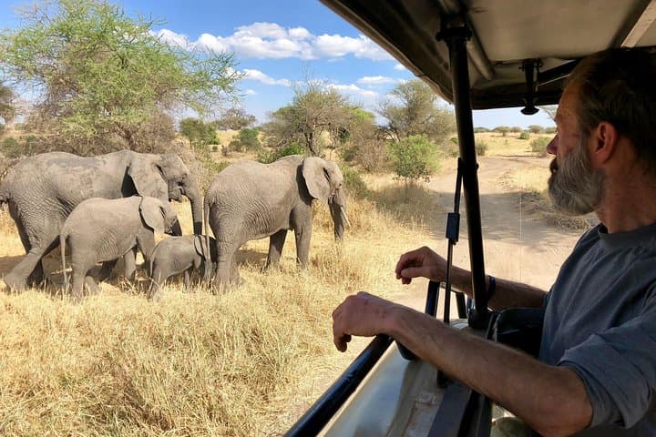 Kilimanjaro Lemosho Route: 12-Day Summit and Camping Safari