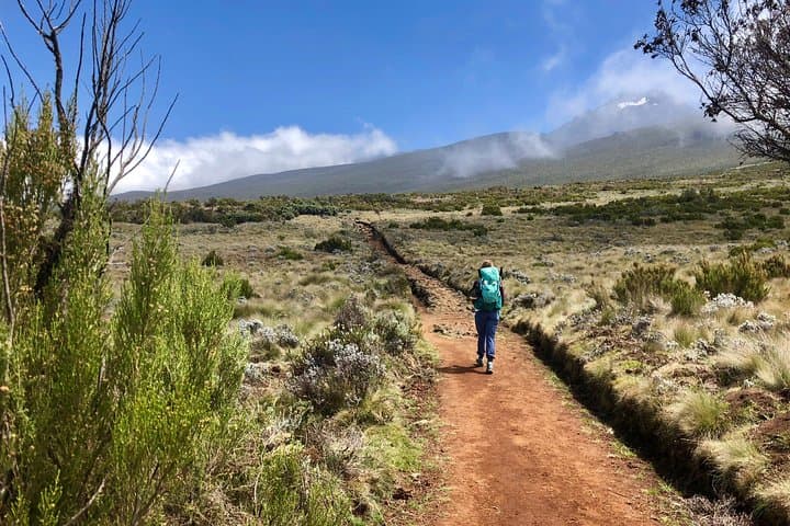 Kilimanjaro Lemosho Route: 12-Day Summit and Camping Safari photo 3