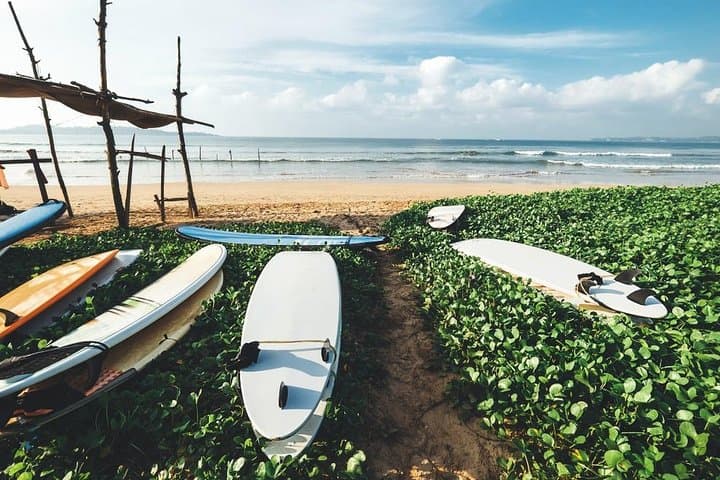 9-Day Adventure & Wildlife Tour in Sri Lanka: Wilpattu, Sigiriya, Minneriya and Pasikuda photo 5