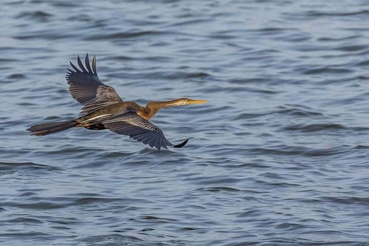 9-Day Adventure & Wildlife Tour in Sri Lanka: Wilpattu, Sigiriya, Minneriya and Pasikuda photo 6