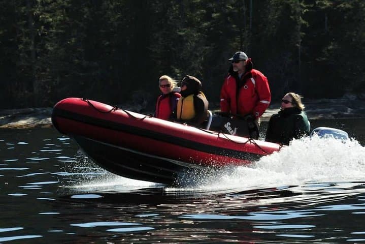 Captain Your Own Zodiac: Small-Group Wilderness Adventure from Ketchikan photo 5