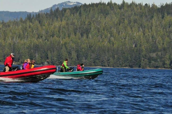 Captain Your Own Zodiac: Small-Group Wilderness Adventure from Ketchikan photo 6