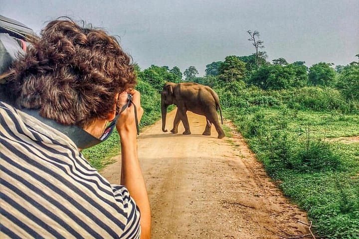 8-Day Private Sri Lanka Tour: Galle, Safari, Ella Train & Kandy photo 4