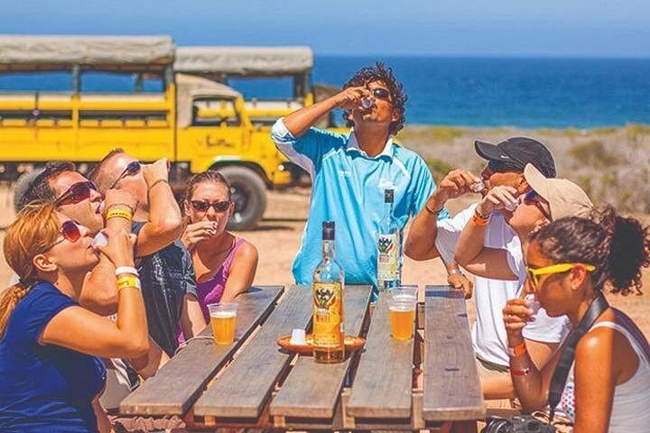 Camel Safari on Baja’s Coast: Desert-to-Sea Ride with Lunch and Tasting photo 4