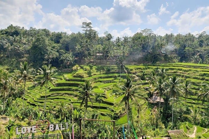 Ubud Private Day Tour: Bali Swing, Monkey Forest & Tegenungan Waterfall photo 3