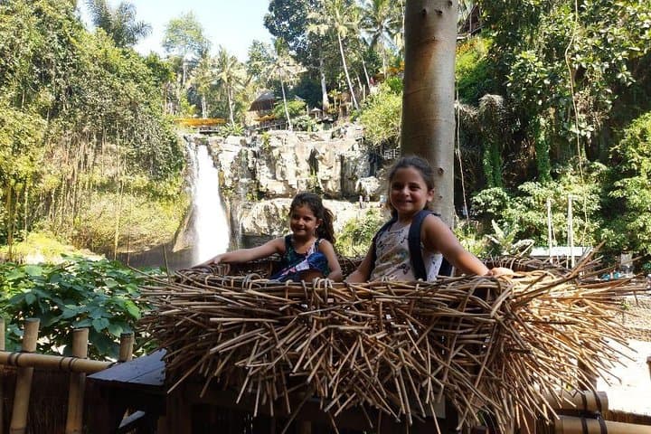 Ubud Private Day Tour: Bali Swing, Monkey Forest & Tegenungan Waterfall photo 6
