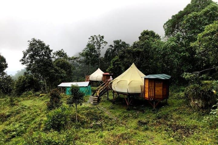 Chicaque Cloud-Forest Hike & Birdwatching from Bogotá photo 2