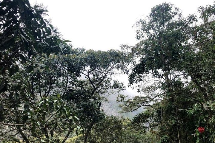 Chicaque Cloud-Forest Hike & Birdwatching from Bogotá photo 3