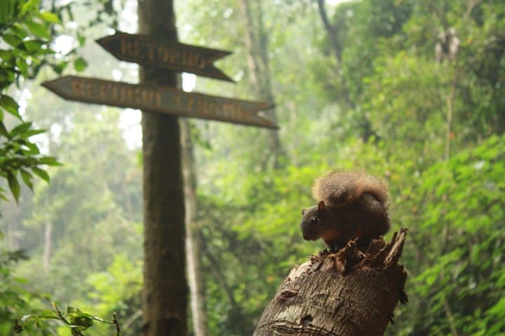 Chicaque Cloud-Forest Hike & Birdwatching from Bogotá photo 5