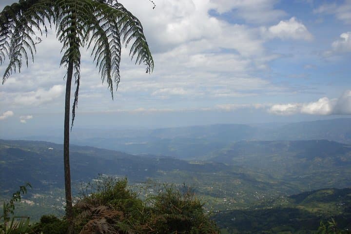 Chicaque Cloud-Forest Hike & Birdwatching from Bogotá