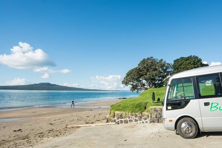 Half-Day Auckland Shore Excursion: Small-Group City Tour & North Shore Views photo 6