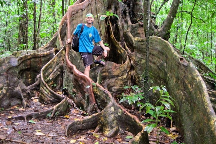 Vermont Nature Trail Hike — Vincentian Parrot Lookout & Rainforest Walk