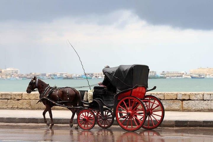 Alexandria Horse Carriage Tour: Corniche Ride to Qaitbay & the Library