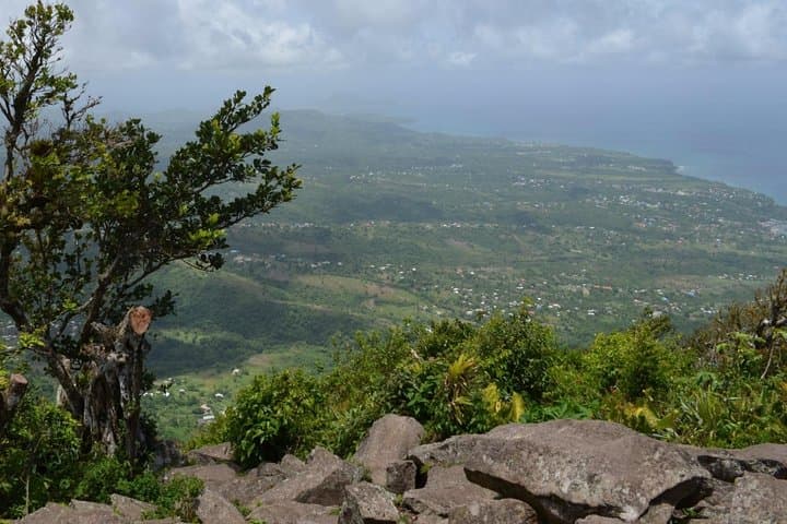 Gros Piton Hike (Lucian Piton Nature Trail) — St. Lucia Day Hike Guide photo 3