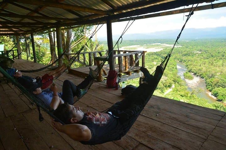 Baños One-Day Jungle Tour: Waterfalls, Viewpoints & Amazon Edge