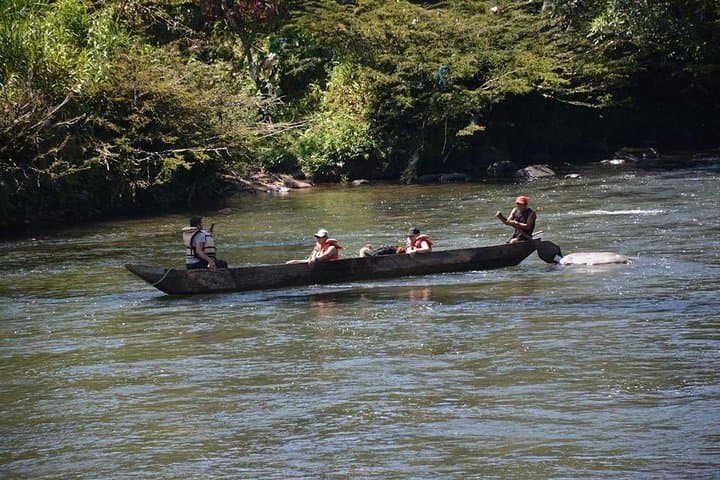 Baños One-Day Jungle Tour: Waterfalls, Viewpoints & Amazon Edge photo 2
