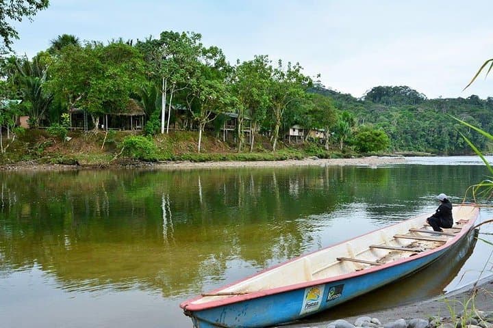 Baños One-Day Jungle Tour: Waterfalls, Viewpoints & Amazon Edge photo 6