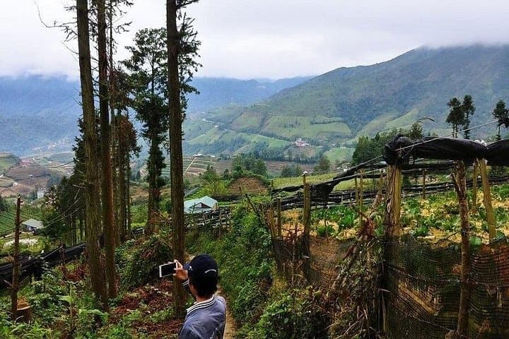 Terraces, Tea Houses, and Trail Dust