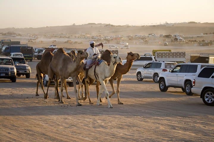 Abu Dhabi Desert Safari with BBQ Dinner: Dune Bashing, Camel Rides & Bedouin Camp photo 6