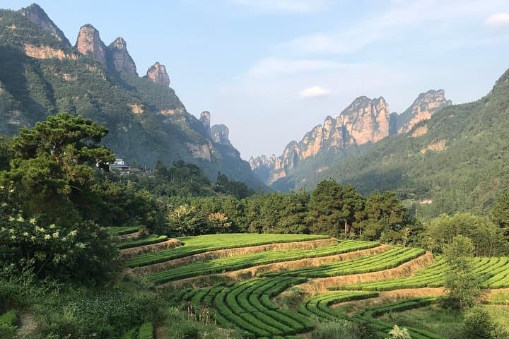 4-Day Zhangjiajie Tour: Avatar Mountains, Glass Bridge & Tianmen Cableway photo 5