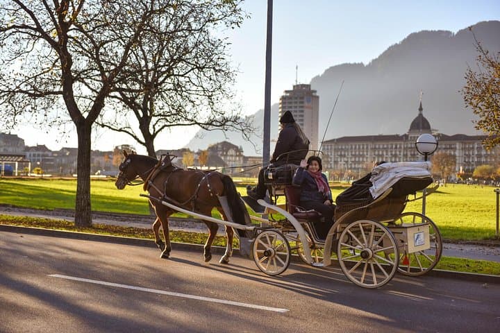 Private Day Trip from Geneva to Interlaken: Lakes, Alps & the Aare River photo 6